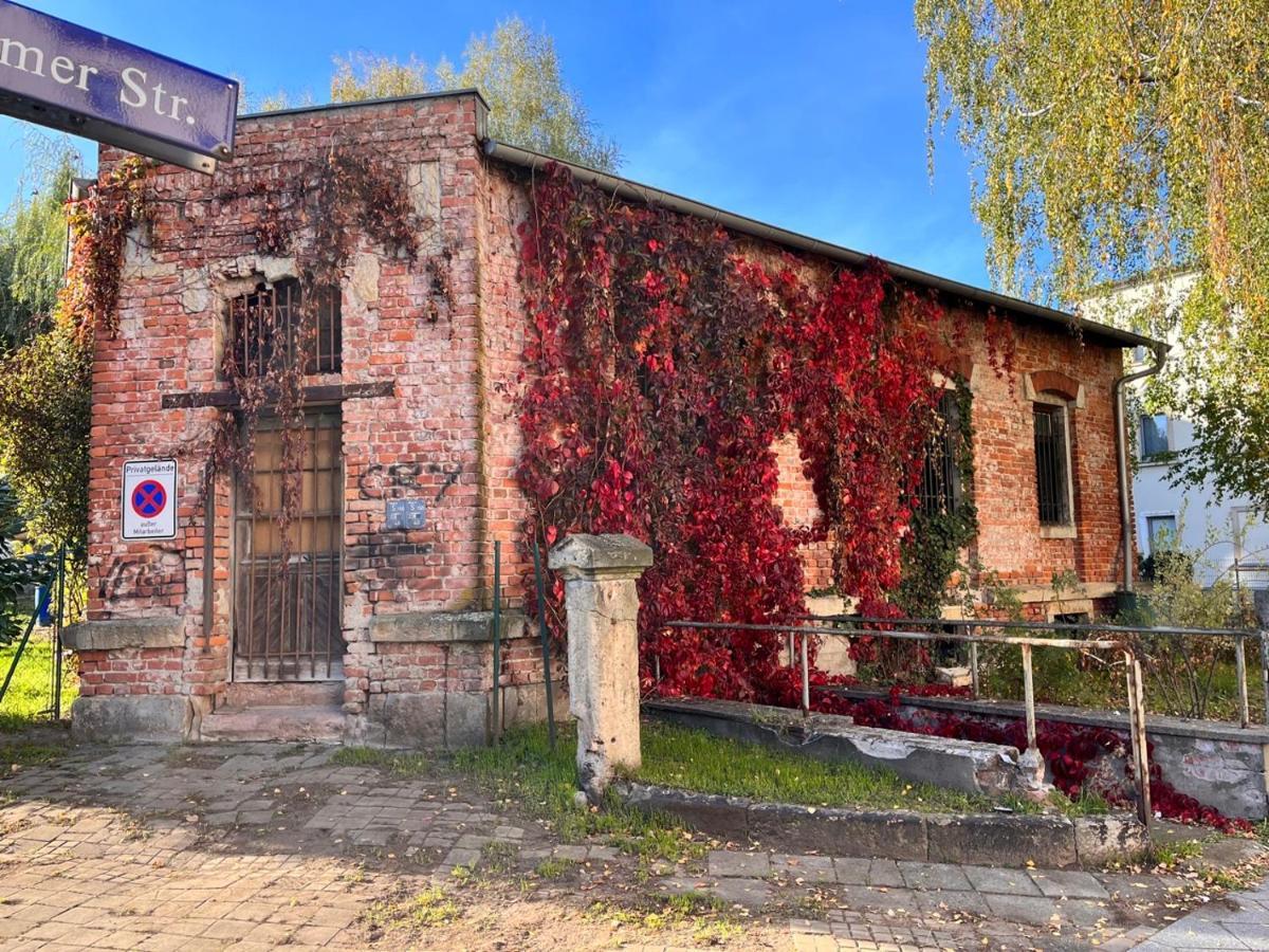 Apartmán Gemutliche Oase - Tv, Beamer, Kuche Fur 4 Personen Drážďany Exteriér fotografie